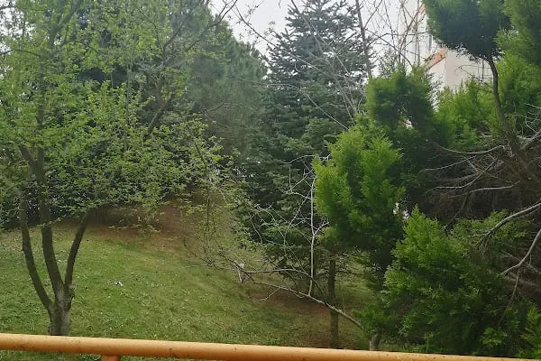 Kocaeli Üniversitesi Fen Edebiyat Fakültesi A Blok - Resim 2