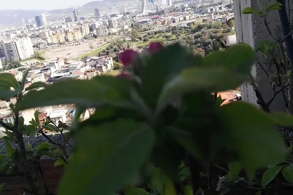Öztürk home - Resim 15