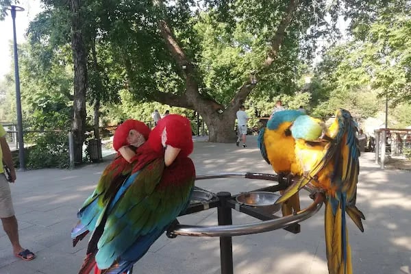 Manavgat Şelalesi - Resim 12