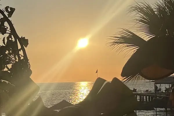 Madre Bodrum - Resim 6