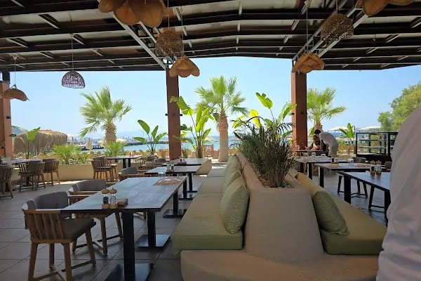 Madre Bodrum - Resim 5