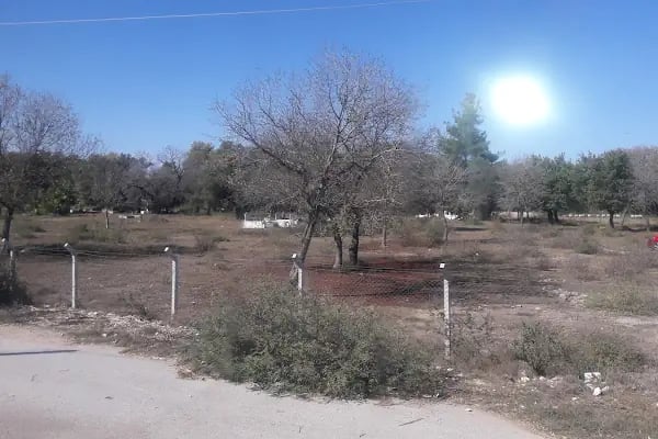 Özlü Mezarlığı - Resim 2