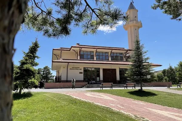 Paşabahçe The Palace - Resim 18