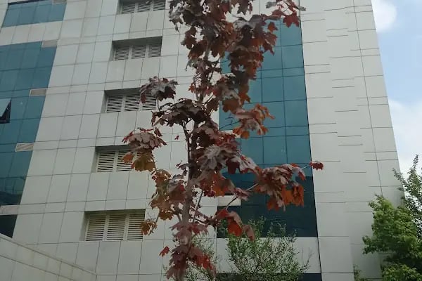 Sultanbeyli Vergi Dairesi Müdürlüğü - Resim 17