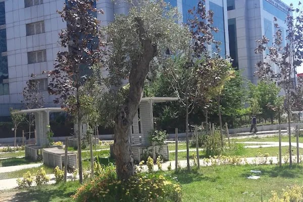 Sultanbeyli Vergi Dairesi Müdürlüğü - Resim 16