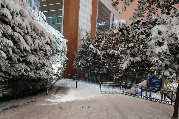 Bağcılar Belediyesi Barbaros Yüzme Havuzu Tesisleri - Resim 12