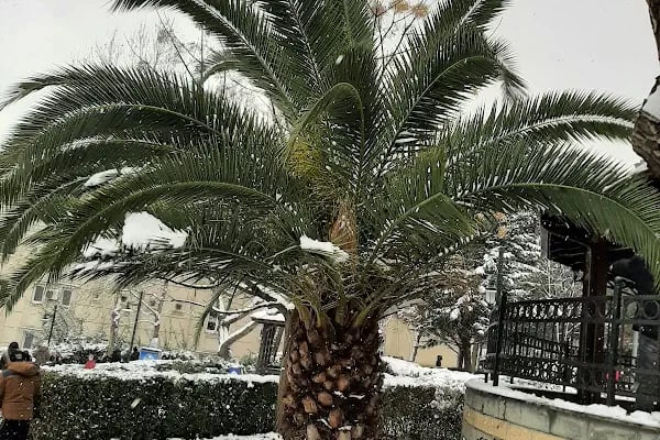 Bağcılar Belediyesi Barbaros Yüzme Havuzu Tesisleri - Resim 20