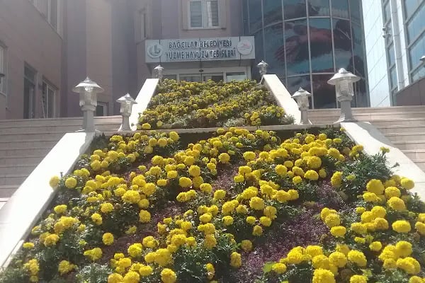 Bağcılar Belediyesi Barbaros Yüzme Havuzu Tesisleri - Resim 8