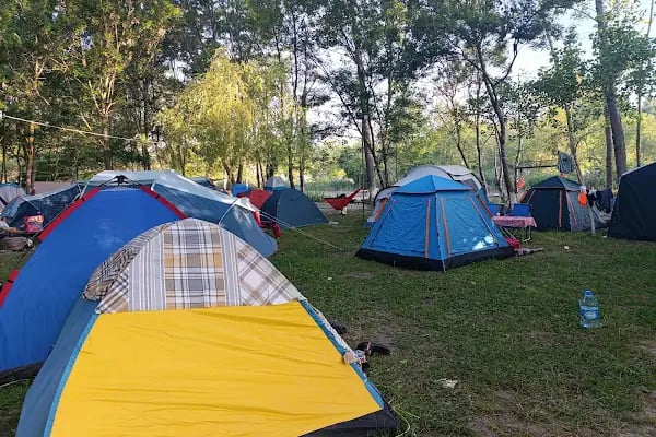 Carpediem Kamp Alanı ve Piknik Alanı (KIYIKÖY) - Resim 14