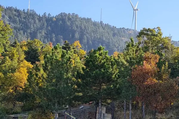 Yakamanastır Tabiat Parkı - Resim 16