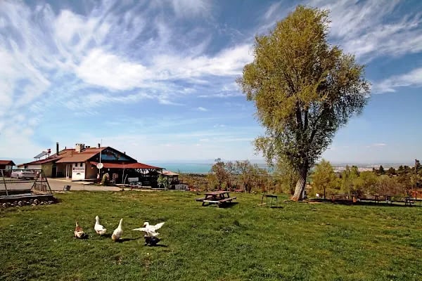 Yakamanastır Tabiat Parkı - Resim 12