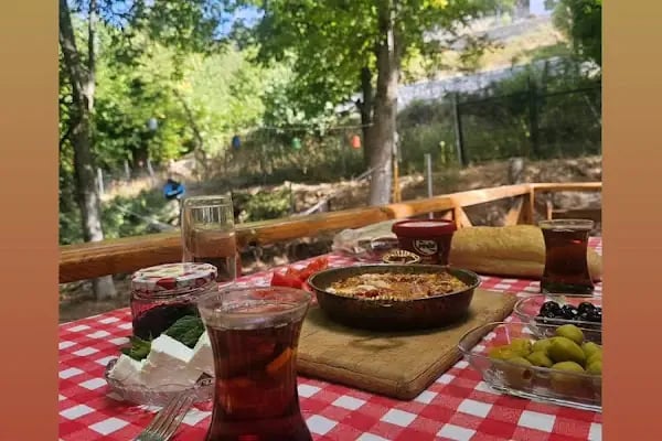 Gökçeören Dağevi - Resim 2