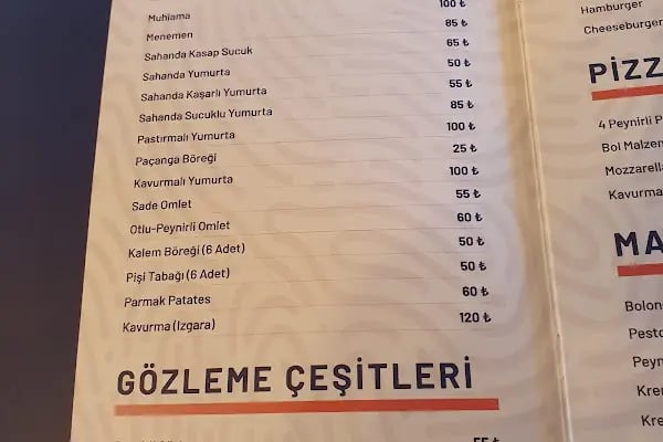 Aliapark Atla Terapi ve Hippoterapi Merkezi - Resim 3