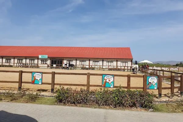 Aliapark Atla Terapi ve Hippoterapi Merkezi - Resim 6