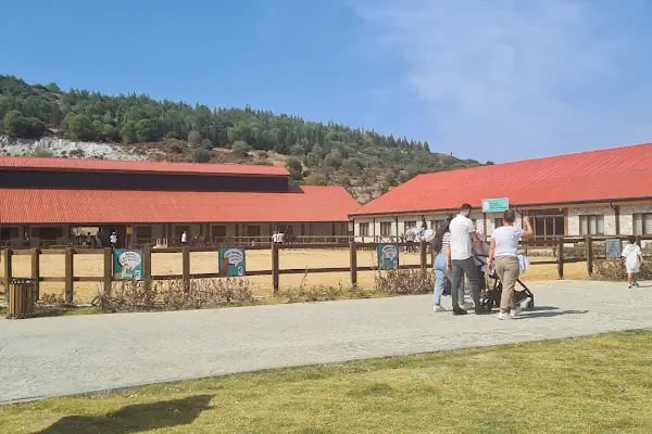 Aliapark Atla Terapi ve Hippoterapi Merkezi - Resim 9