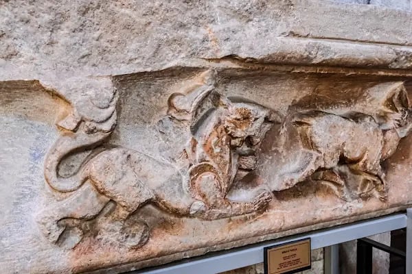 İnce Minare Taş Eserler Müzesi - Resim 12