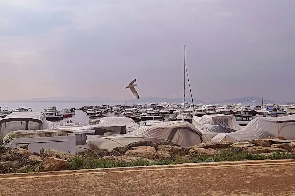 Suadiye Yat Limanı - Resim 11