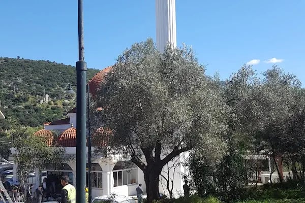 Torba camii - Resim 20