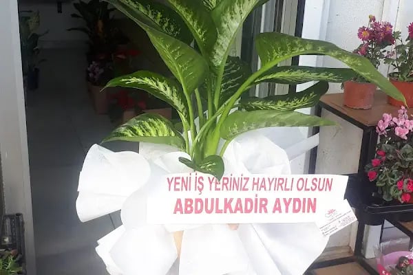 MS Çiçekçilik - Resim 8