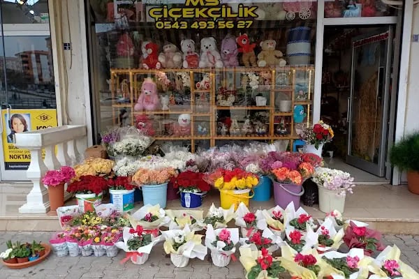 MS Çiçekçilik - Resim 3