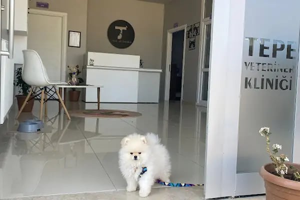 Çerkezköy Tepe Veteriner Kliniği - Resim 10