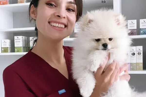 Çerkezköy Tepe Veteriner Kliniği - Resim 18