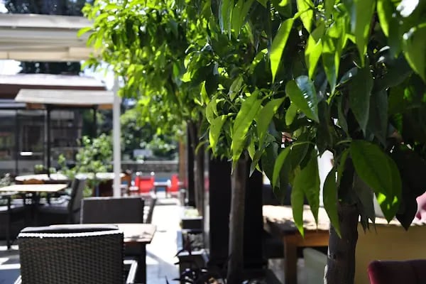 Kosa Butik Otel - Resim 12
