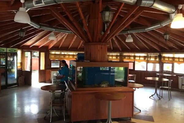 Yeşil Vadi Cafe - Resim 8