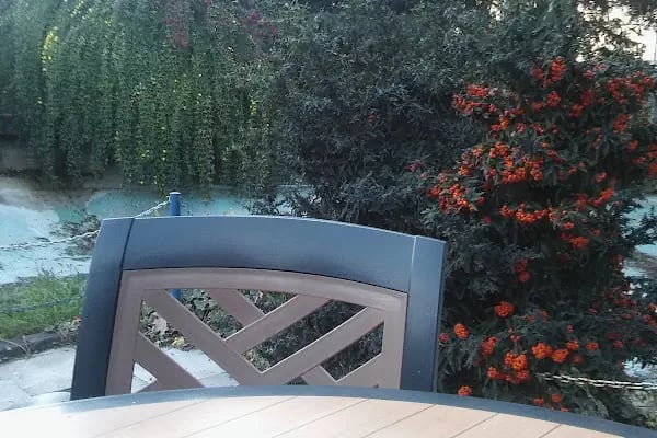 Yeşil Vadi Cafe - Resim 12