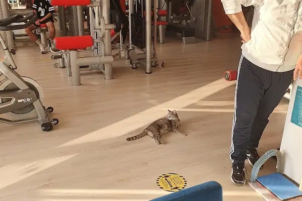 Energym Sports Center - Resim 8