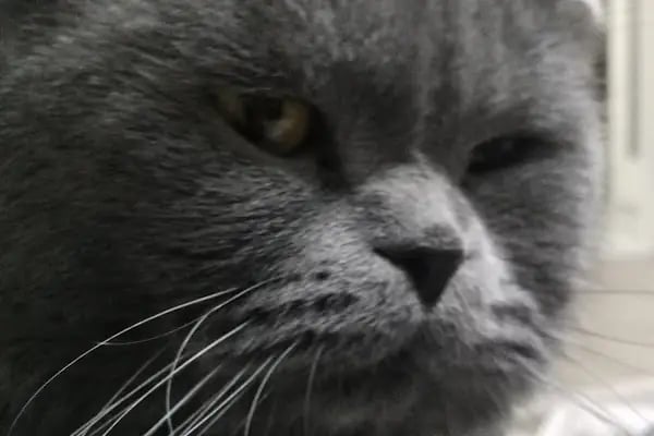 Mavi Pet Shop ve akvaryum dünyası - Resim 12