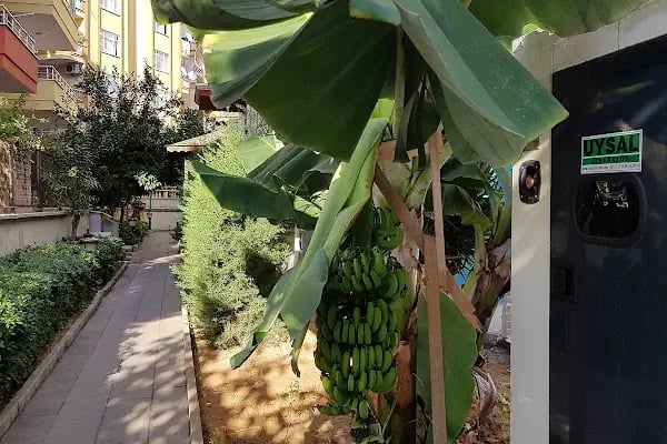 Gündoğan Tatil Sitesi - Resim 14