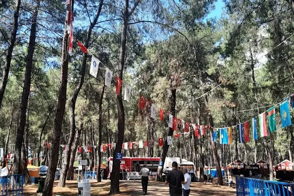 Düzlerçamı piknik alanı - Resim 3