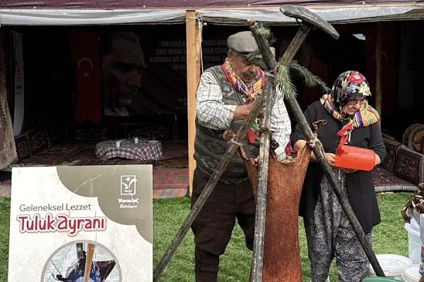 Düzlerçamı piknik alanı - Resim 8