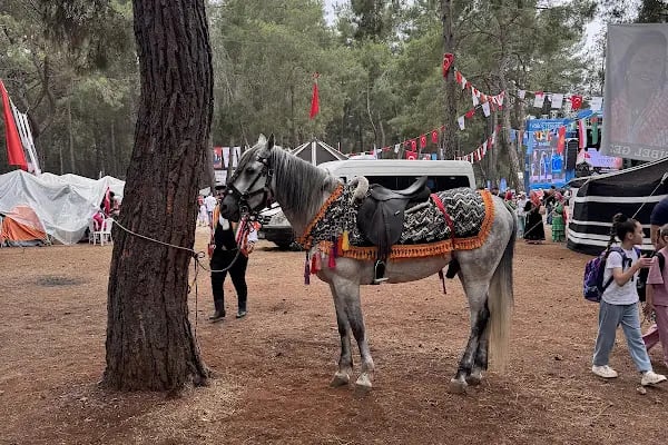 Düzlerçamı piknik alanı - Resim 19