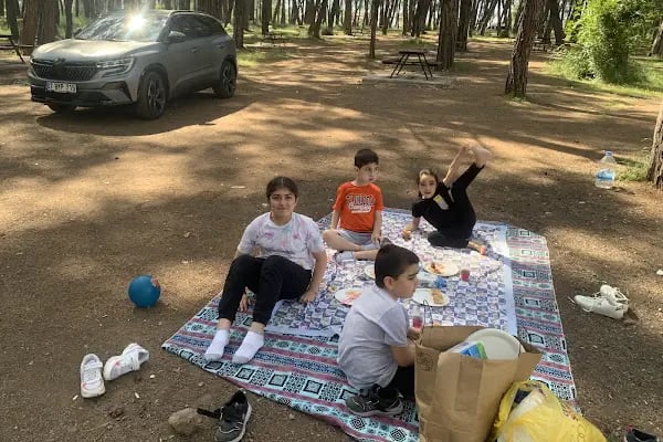 Düzlerçamı piknik alanı - Resim 18