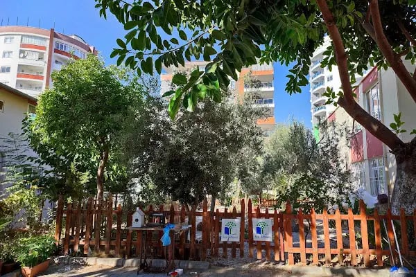 Mahmutlar 50. Yıl İlköğretim Okulu - Resim 2