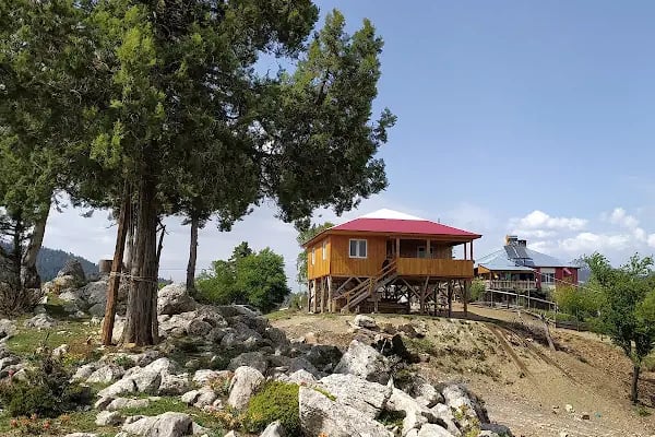 MEYDAN YAYLASI - Resim 4