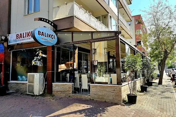 Balıkçı Erkan Usta - Resim 2