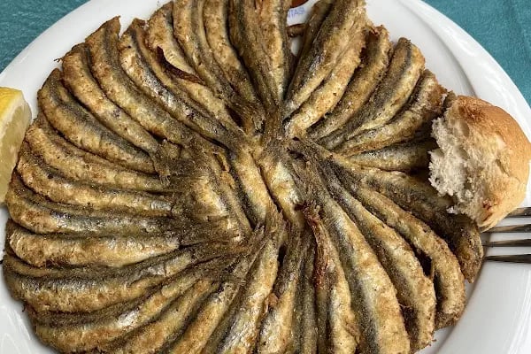 Balıkçı Erkan Usta - Resim 18