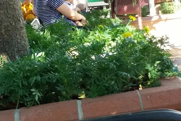 Akşehir Unlu Mamulleri - Resim 1