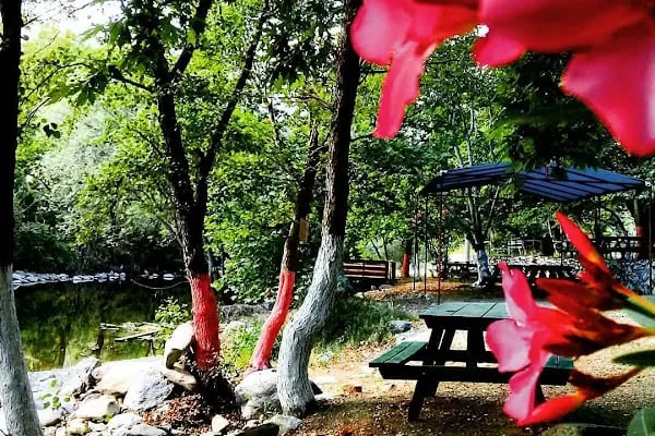 Değirmen kamp kazdağları - Resim 7