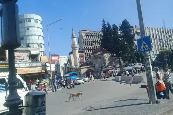 Küçüksaat döviz - Resim 4