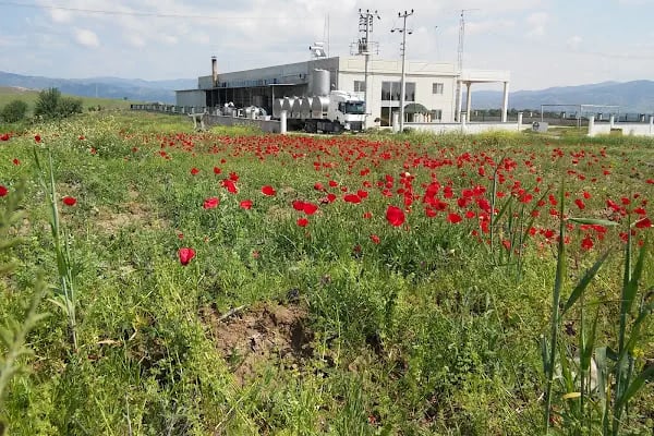 Çine Organize Sanayi Bölgesi - Resim 5