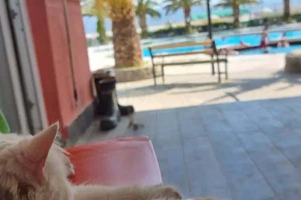 Urganlı Yüzme Havuzları - Resim 18