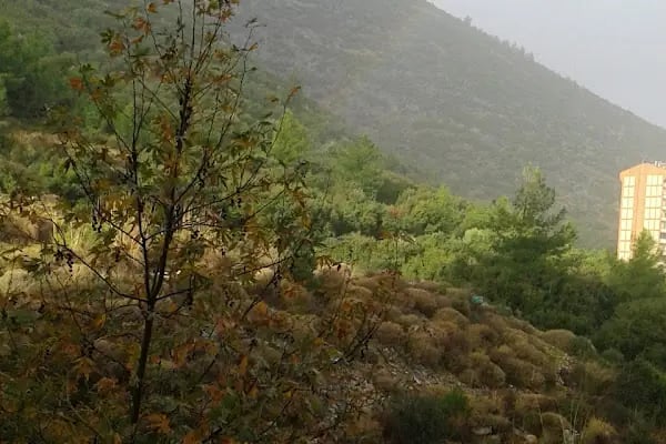 Anamur Toki Sokak - Resim 7
