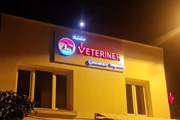 Adalar Veteriner Kliniği - Resim 5