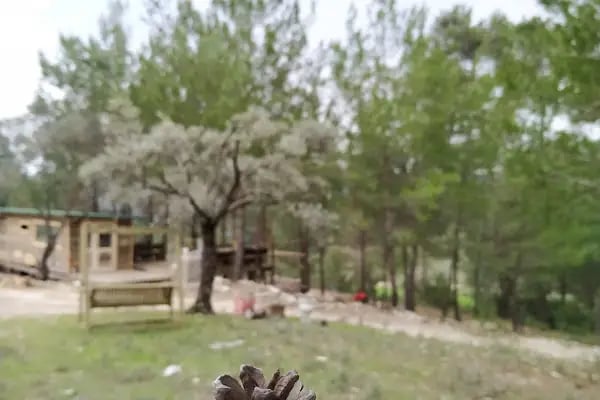 Vitalica Resort &amp; Residences - Resim 15