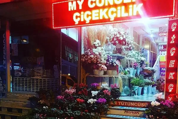 My Concept Çiçekçilik - Resim 2