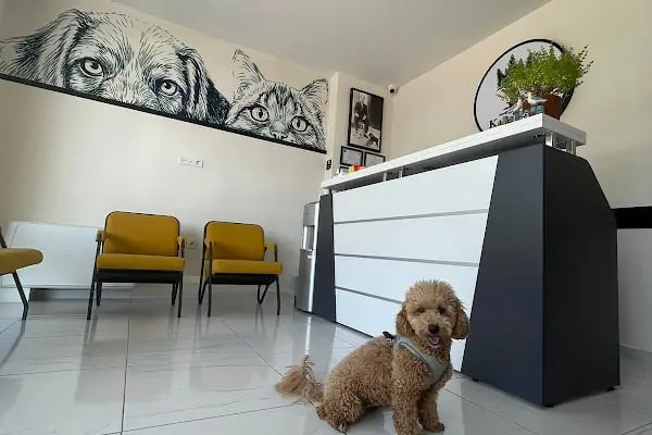 Karya Veteriner Klinik - Resim 4